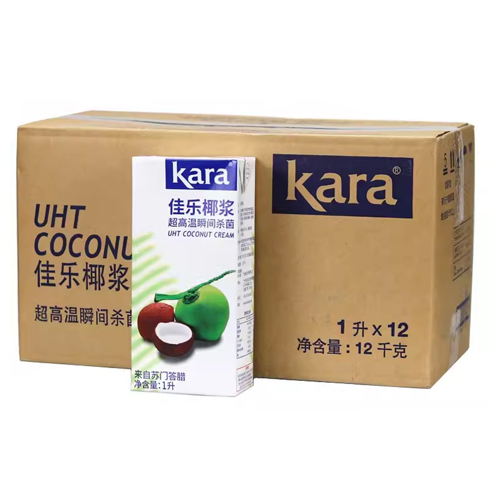 椰奶 1000ml 利乐包装