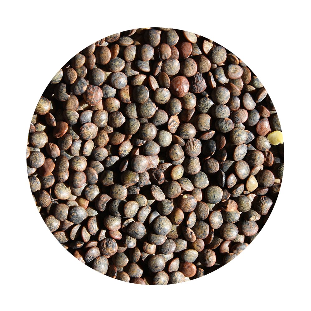 F.Line Lentils French Green 3kg