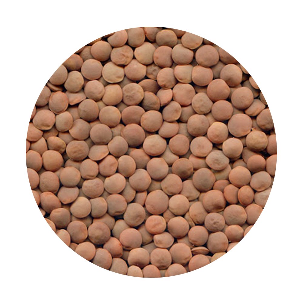 Lentils Whole Red with  Skin On 3kg