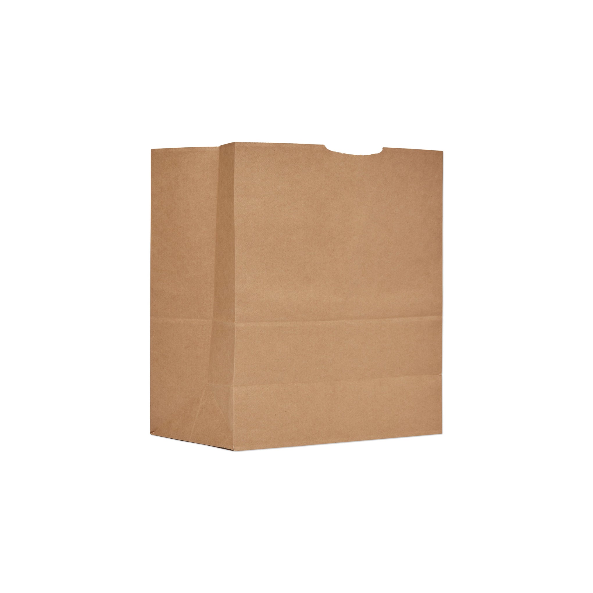 Paper Check Out Bag 250pcs (Small)