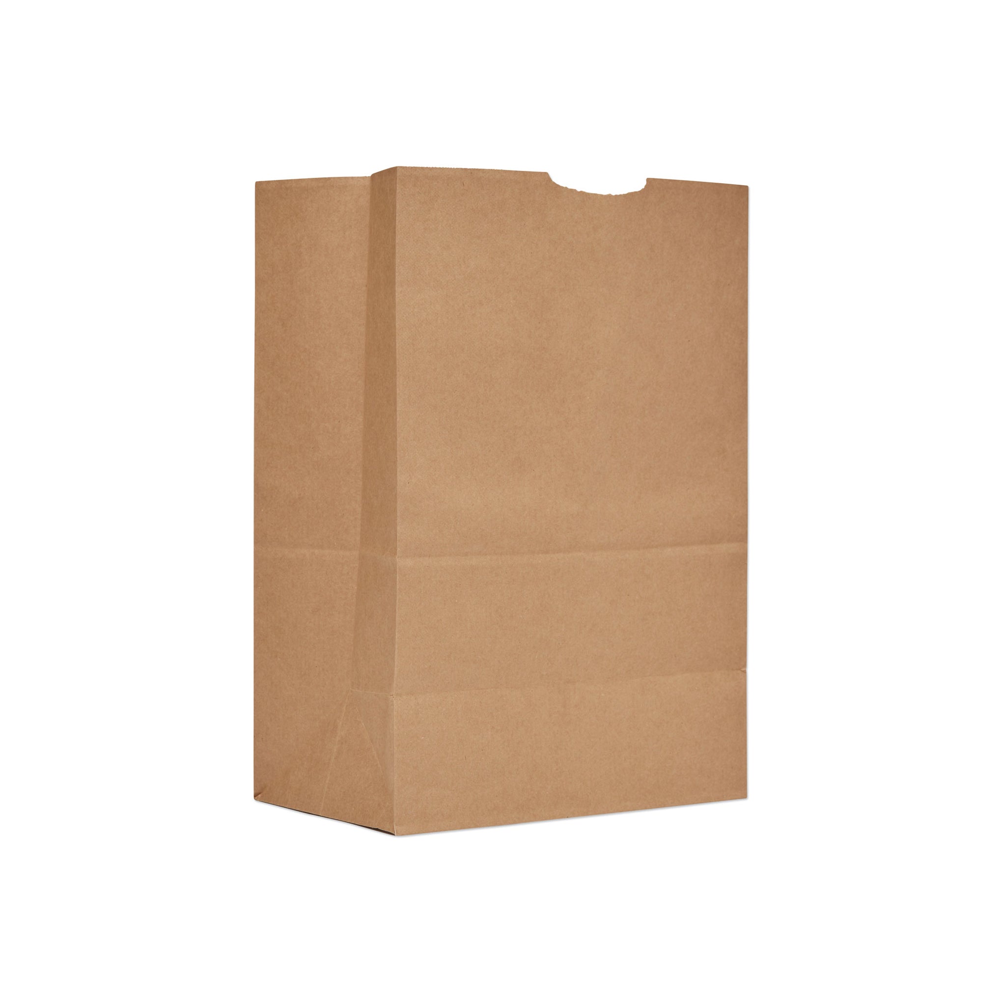 Paper Check Out Bag 250pcs (Large)