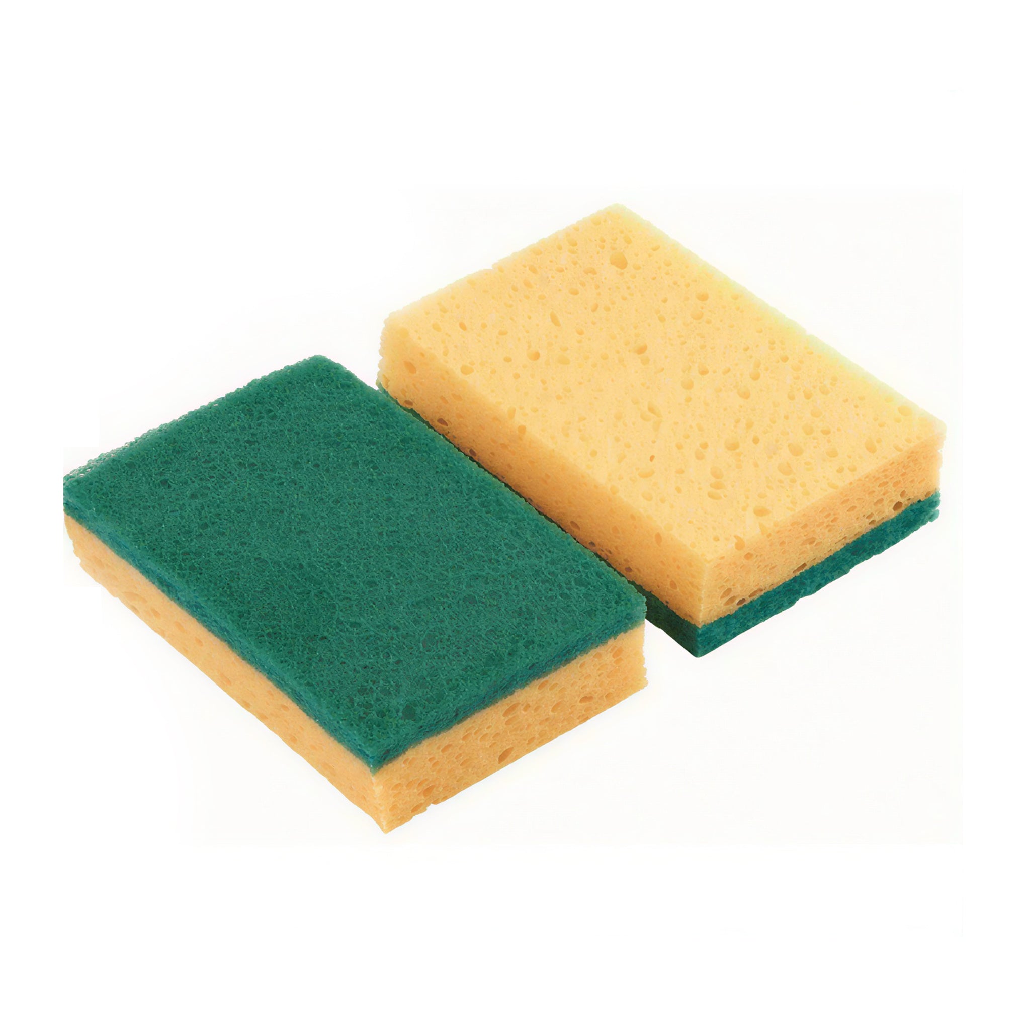 Sponge & Scourer 2pcs