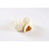 Vegetarian Curry Bun 480g