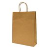 Twist Handle Brown Paper Carry Bag (Small)