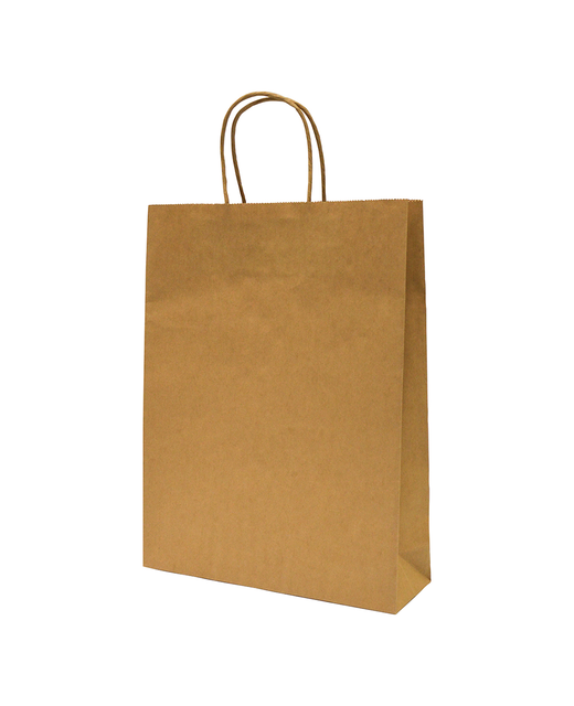 Twist Handle Brown Paper Carry Bag (Small)