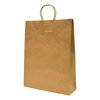 Twist Handle Brown Paper Carry Bag (Medium)