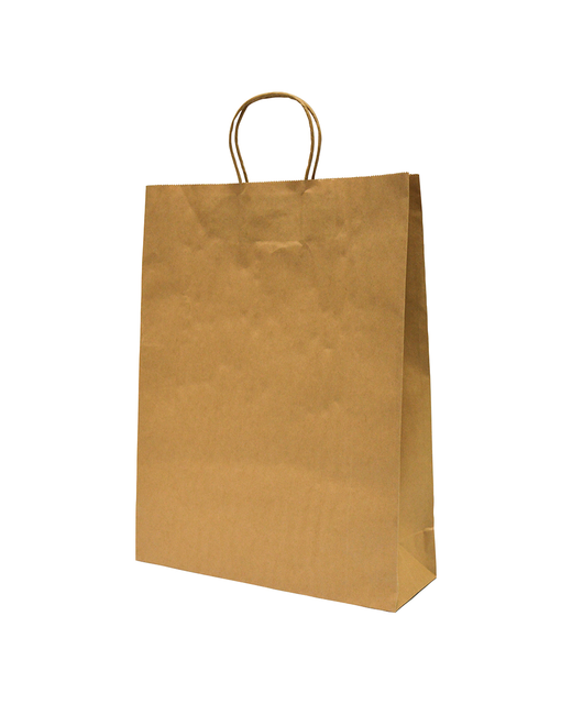 Twist Handle Brown Paper Carry Bag (Medium)