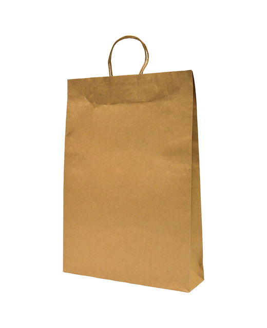 Twist Handle Brown Paper Carry Bag (Large)
