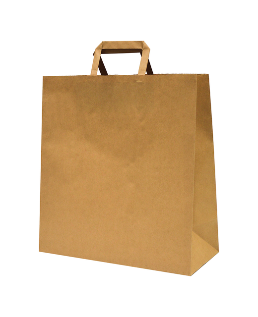 Flat Handle Brown Paper Carry Bag (Large)