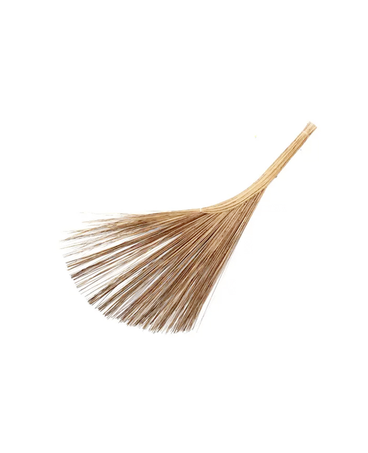 Coconut Broom (Hard Brush)