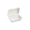 Biodegradable Plastic Container with Hinged Lid 9x9x2.8in