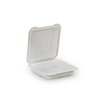 Biodegradable Plastic Container with Hinged Lid 8x8x2.7in