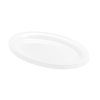 Oval Tray 250mmx395mm
