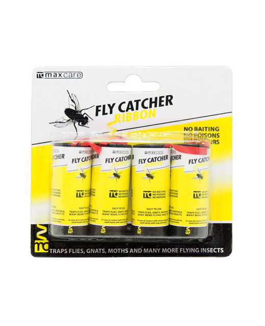 Fly Catchers
