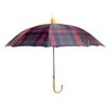 Umbrella With Plastic Protector
