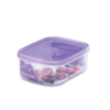 BPA Free Container